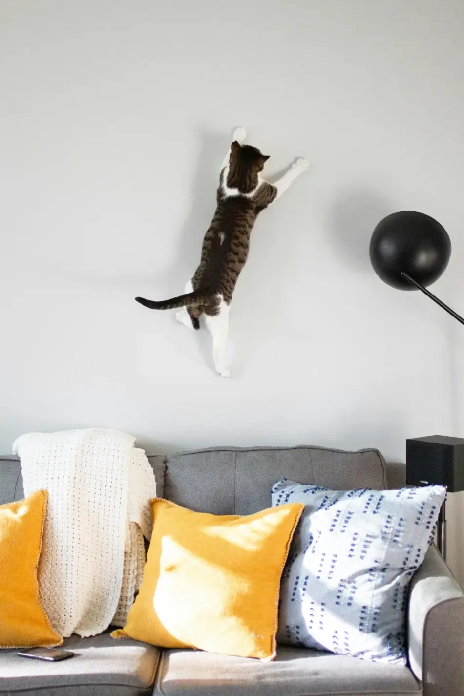 Stylowo udekorowany salon z poduszkami, wazonami i obrazami na ścianie